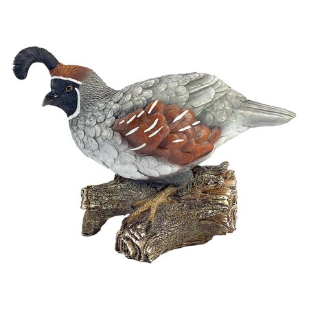 Design Toscano Coco, the Quail Bird Statue QM2385600